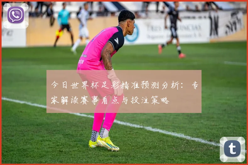今日世界杯足彩精准预测分析:专家解读赛事看点与投注策略